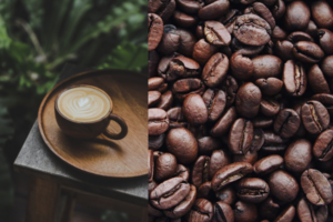 International Coffee Flavors, Preparations, and Traditions